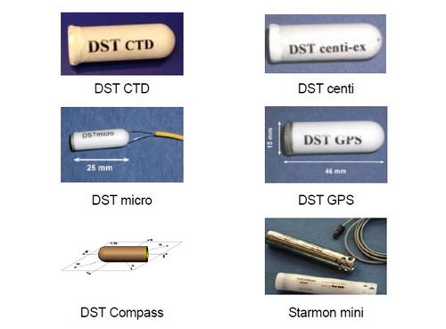 DST魚(yú)類(lèi)追蹤記錄儀