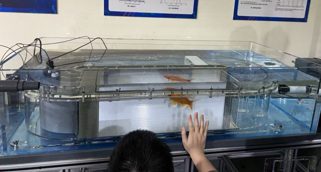 圖片.png